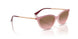 325814 - Pink - Pink Gradient Brown