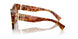 4BW2Z1 - Tortoise - Brown