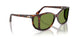 24/4E - Tortoise - Green