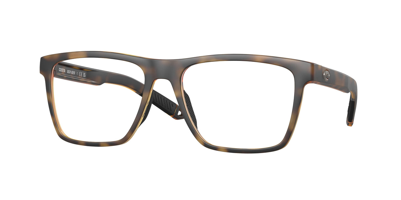 802603 - Tortoise
