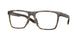 802603 - Tortoise