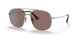 5AV05C - Gunmetal - Polar Brown