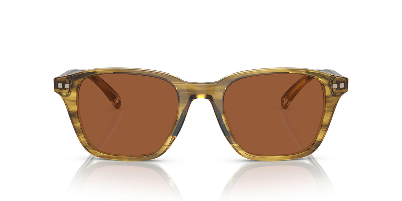 616473 - Green - Brown Solid