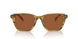 616473 - Green - Brown Solid