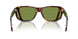 24/4E - Tortoise - Green