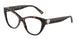 8015 - Tortoise