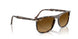 143185 - Yellow - Gradient Brown