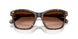 100274 - Tortoise - Gradient Brown