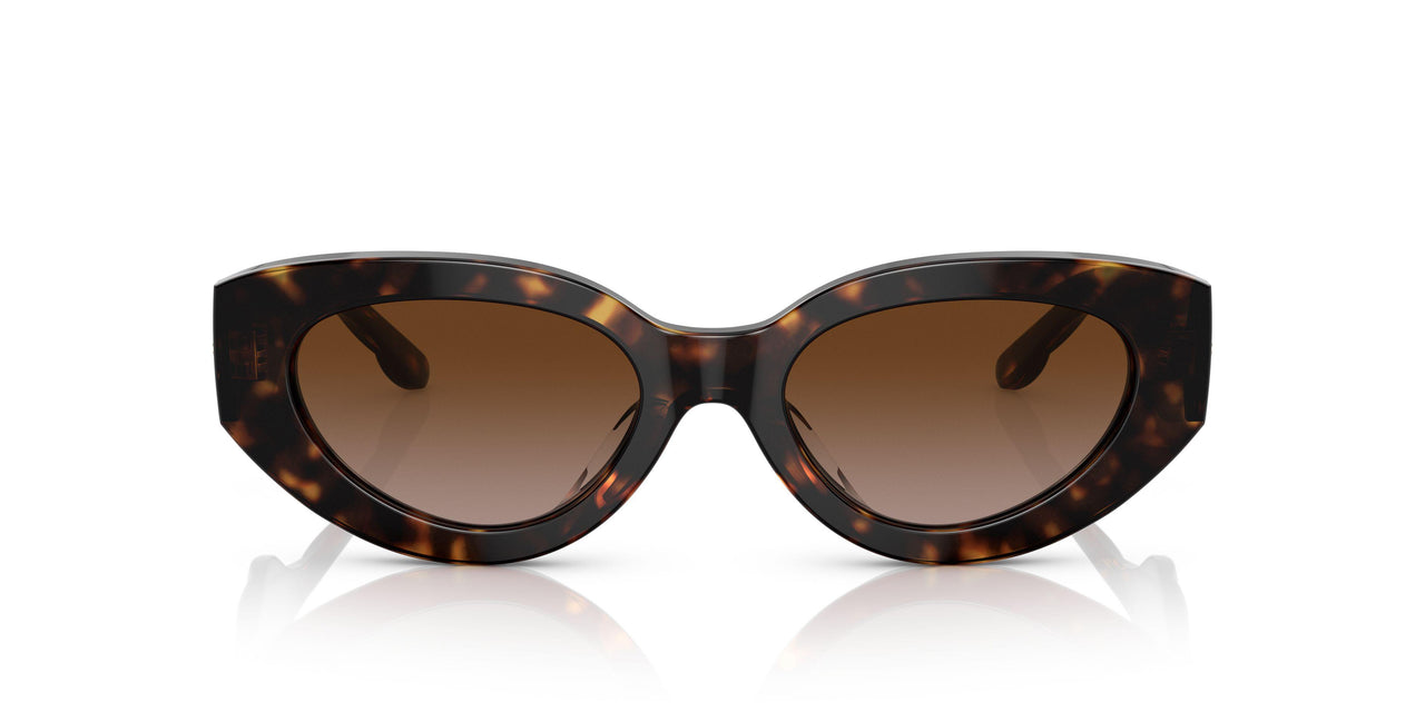 172813 - Havana - Brown Gradient