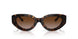 172813 - Havana - Brown Gradient