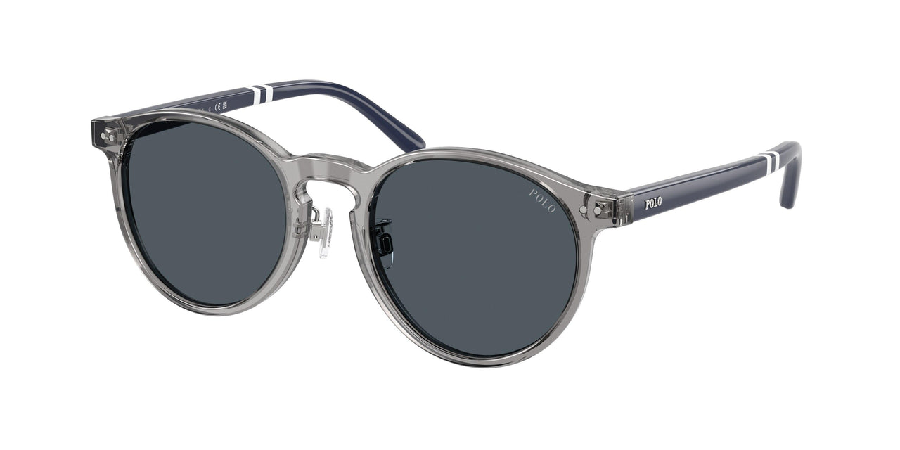 Polo 4236F Sunglasses