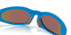 953909 - Blue - Prizm Sapphire Polarized