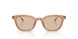 303793 - Brown - Solid Light Brown