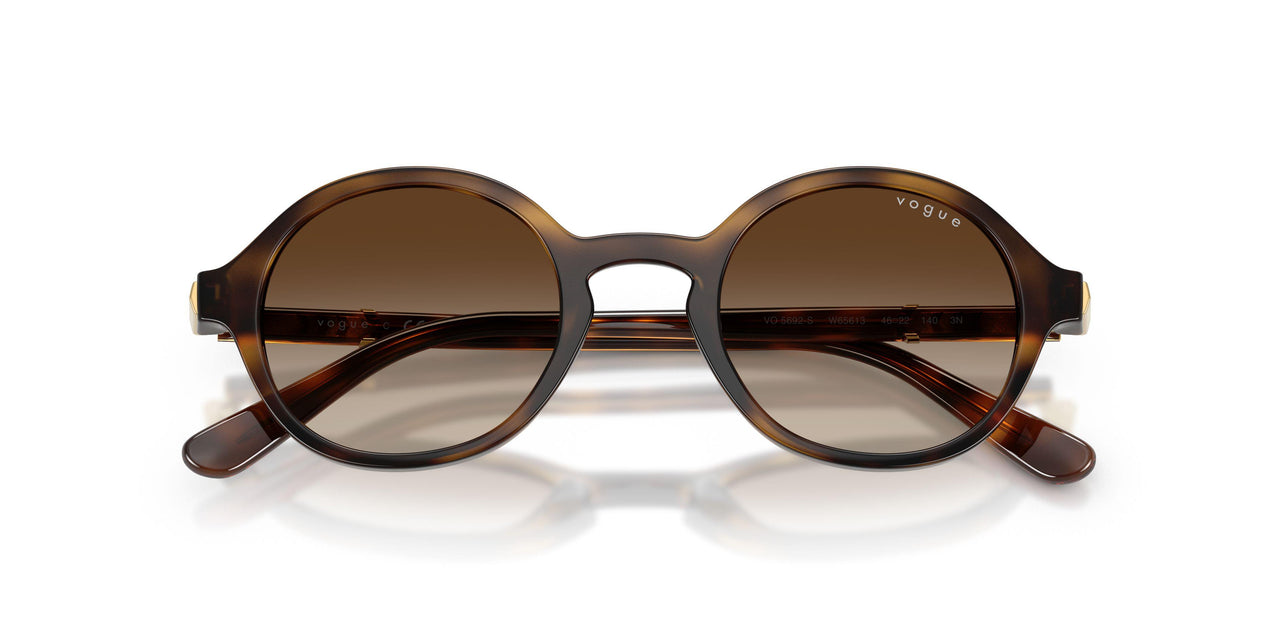 W65613 - Brown - Gradient Brown