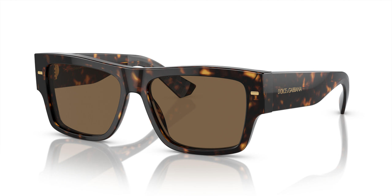 502/73 - Tortoise - Dark Brown