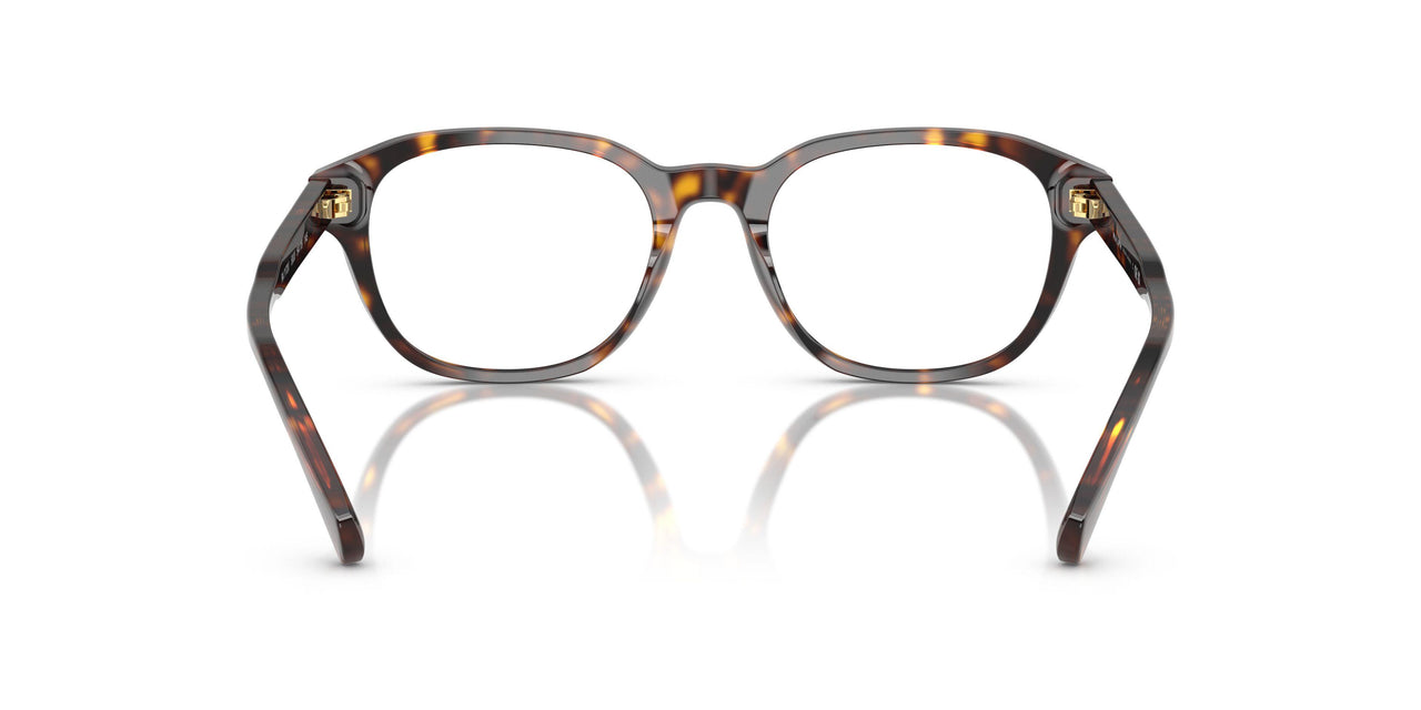 5003 - Tortoise