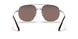 5AV05C - Gunmetal - Polar Brown