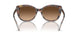 574274 - Tortoise - Brown Gradient