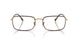 3177 - Tortoise - Clear