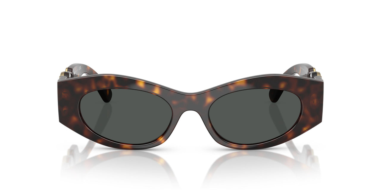 108/87 - Tortoise - Dark Grey