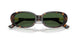 500371 - Tortoise - Bottle Green