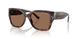 624173 - Tortoise - Brown