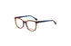 Divaldi DVO8295 Eyeglasses