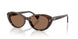 500373 - Brown - Brown