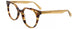 Paradox P5092 Eyeglasses