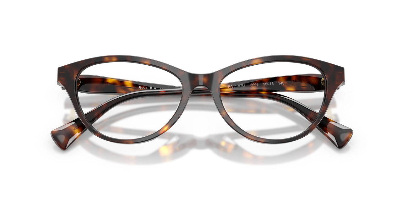 5003 - Brown