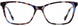1 - Periwinkle Tortoise