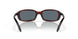 901705 - 10 Tortoise - Blue Mir 580p