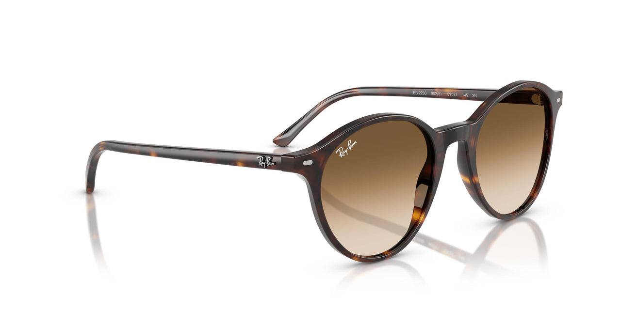 902/51 - Tortoise - Clear Gradient Brown