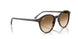 902/51 - Tortoise - Clear Gradient Brown