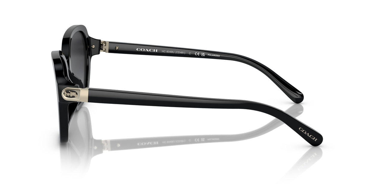 5002T3 - Black - Grey Gradient Polar