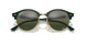 1157 - Spotted Black Havana - Green