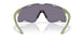 953808 - Green - Prizm Grey