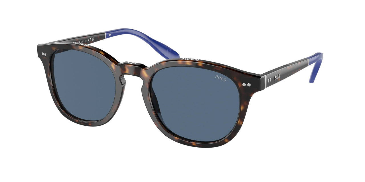 Polo 4206 Sunglasses