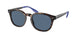 Polo 4206 Sunglasses