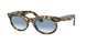 Ray-Ban Wayfarer Oval 2242F Sunglasses
