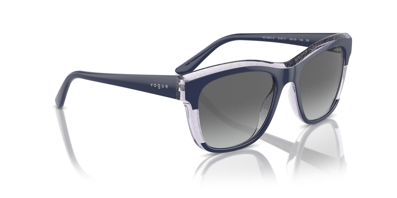 313711 - Blue - Grey Gradient