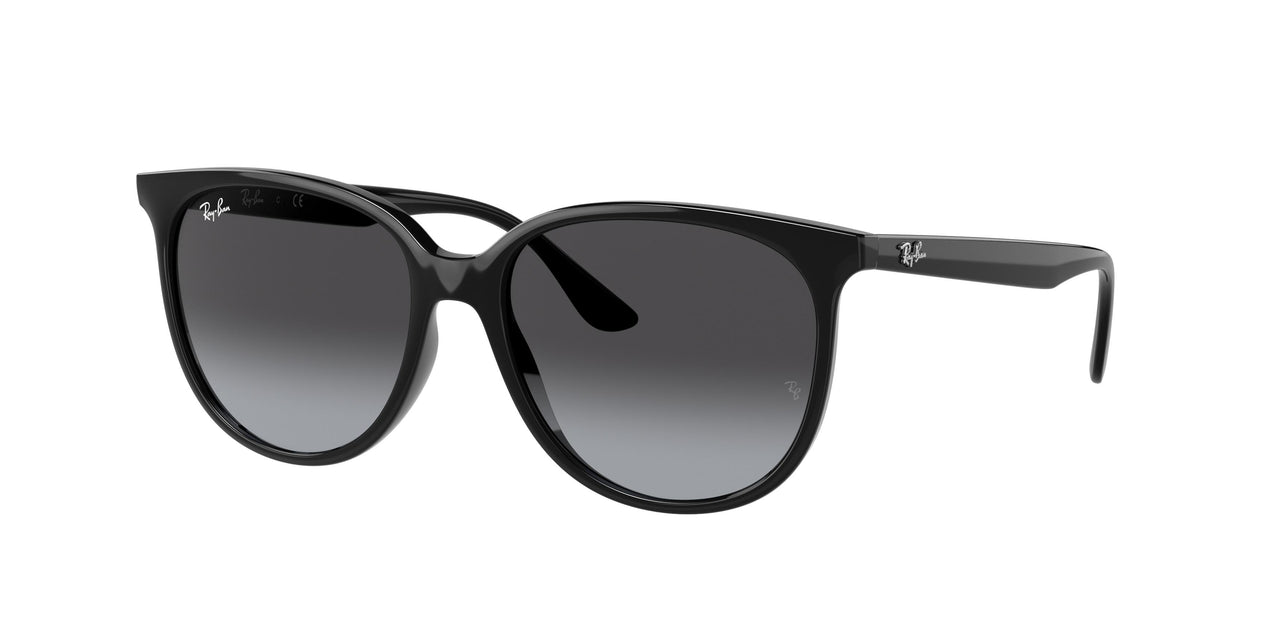 Ray-Ban 4378F Sunglasses