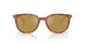 300475 - Tortoise - Mirror Olive