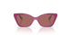 321169 - Violet - Dark Violet