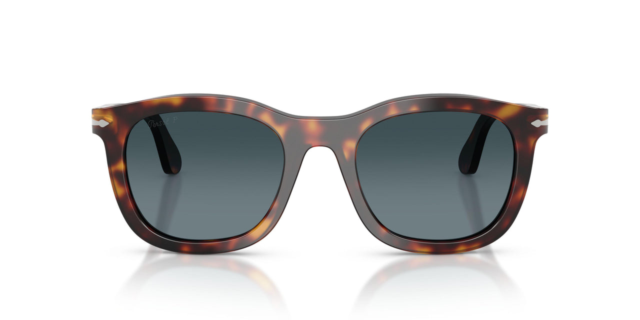 24/S3 - Tortoise - Light Blue Gradient Dark Blue