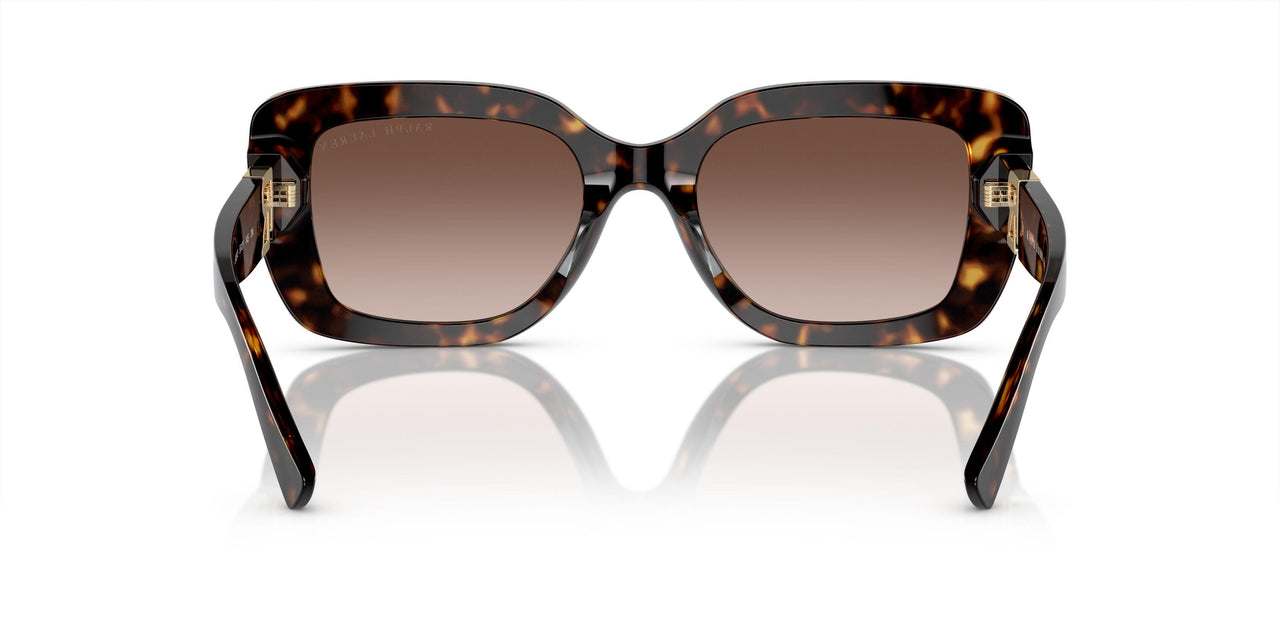 500313 - Tortoise - Gradient Brown