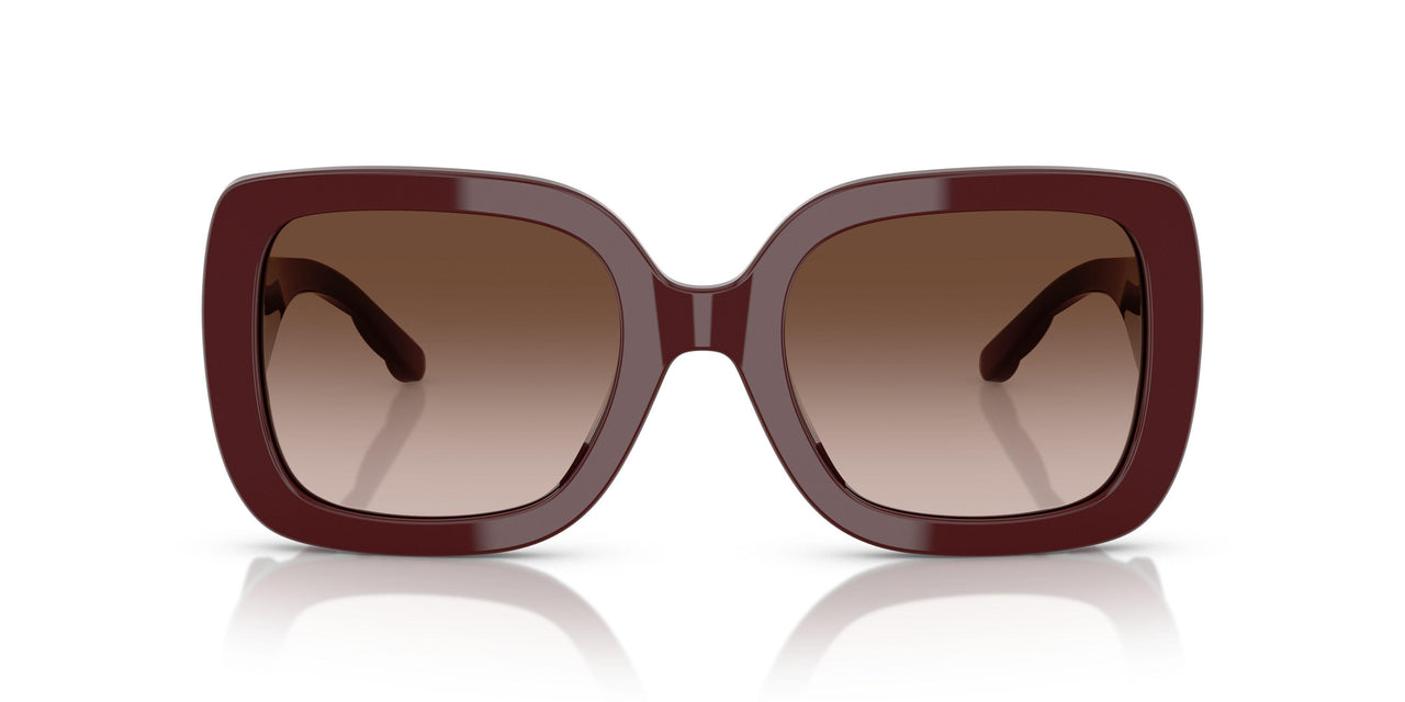 201813 - Red - Brown Gradient