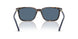 500380 - Tortoise - Dark Blue