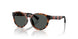 597487 - Tortoise - Dark Grey