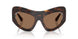 502/73 - Tortoise - Dark Brown